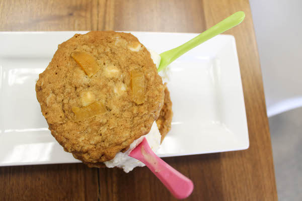 gelato sandwich with oatmeal cookie