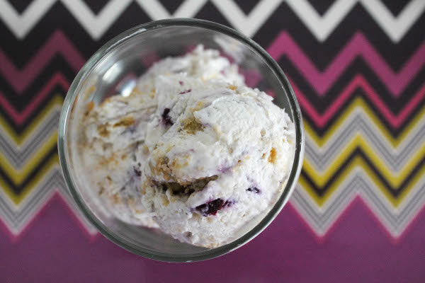 blueberry swirl coconut ice cream